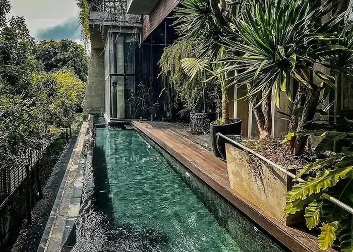 The Oasis Tranquil Escape